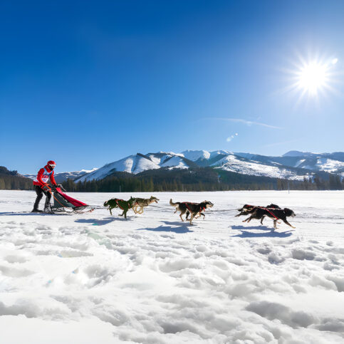 Mushing-2